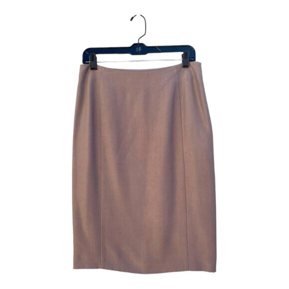 Nina Ricci Warm Taupe Silk Skirt Size 8 NWT - Picture 2 of 11